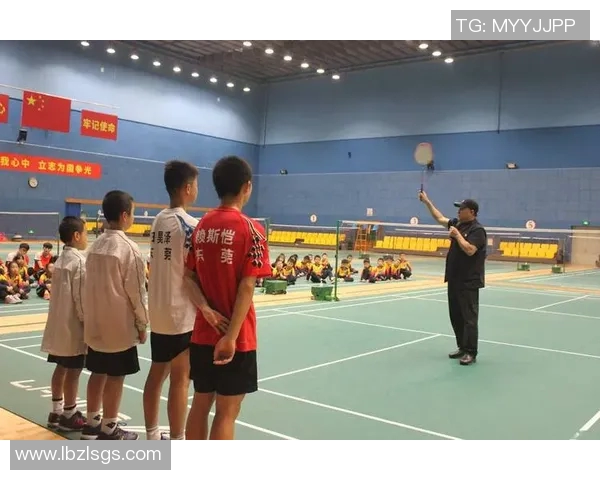 深圳羽毛球队进攻策略分析与比赛表现评估